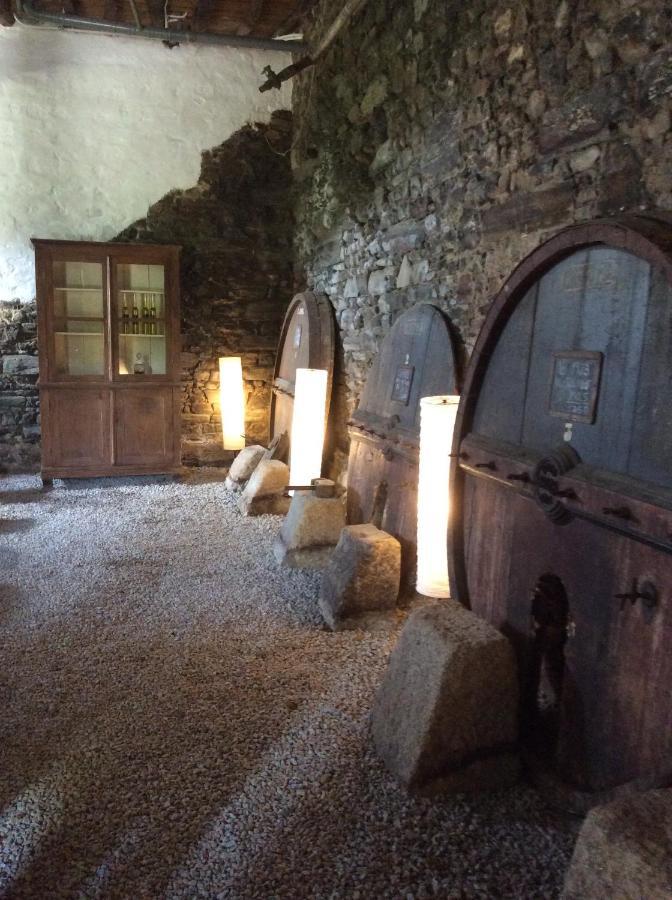 Quinta Do Fojo Bed & Breakfast Lamego Luaran gambar