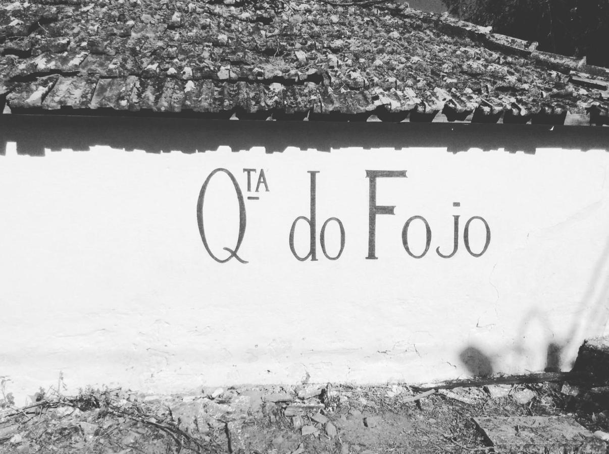 Quinta Do Fojo Bed & Breakfast Lamego Luaran gambar