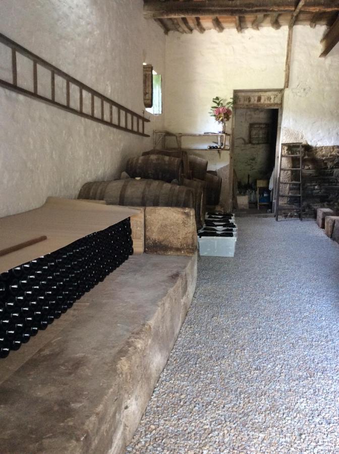 Quinta Do Fojo Bed & Breakfast Lamego Luaran gambar