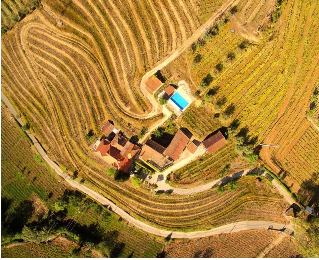 Quinta Do Fojo Bed & Breakfast Lamego Luaran gambar