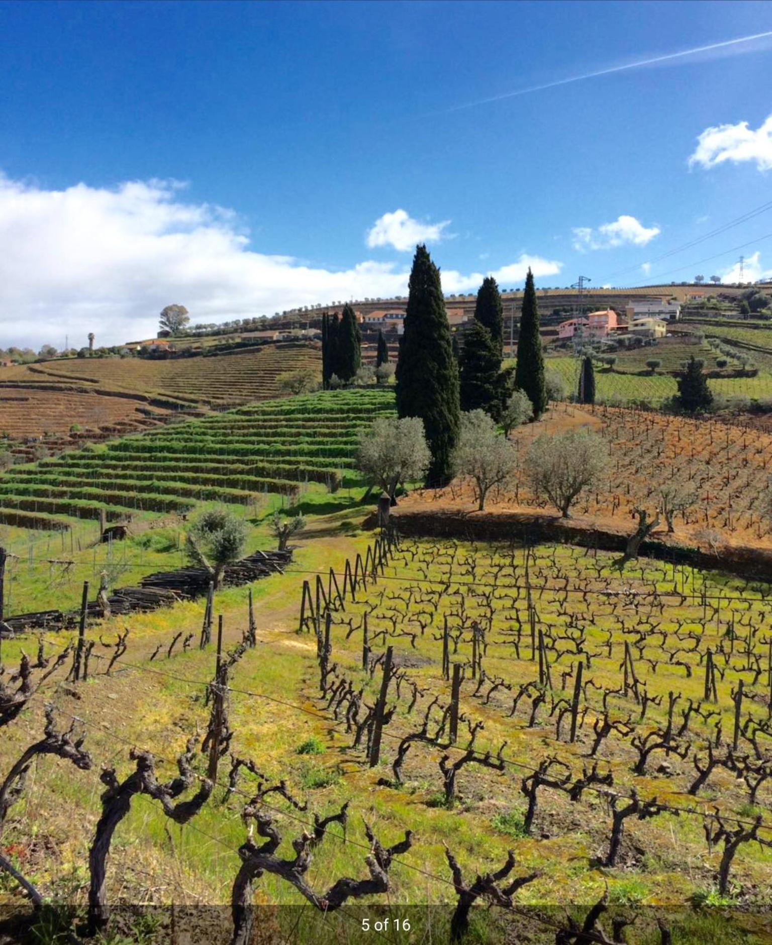 Quinta Do Fojo Bed & Breakfast Lamego Luaran gambar