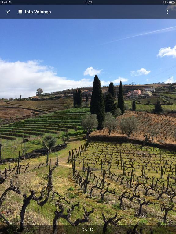 Quinta Do Fojo Bed & Breakfast Lamego Luaran gambar