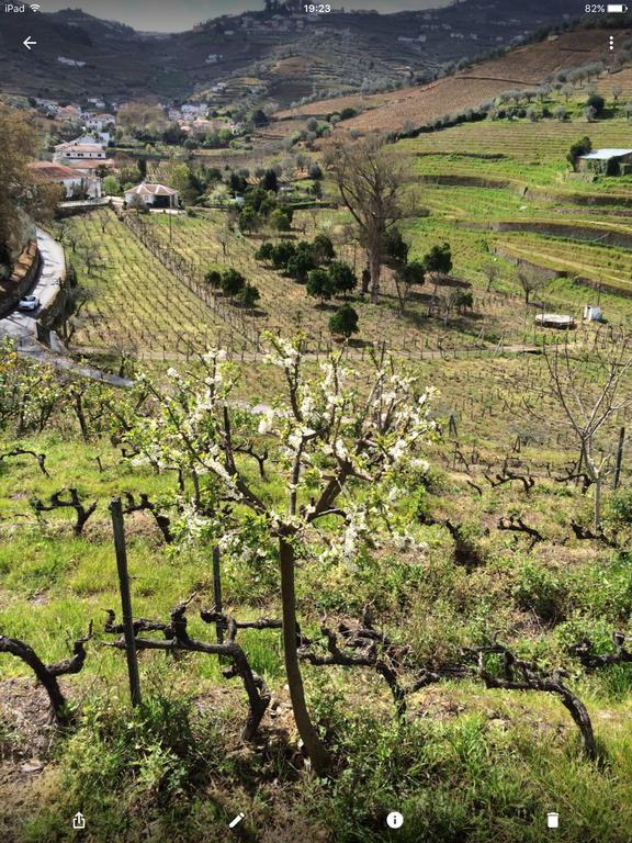 Quinta Do Fojo Bed & Breakfast Lamego Luaran gambar
