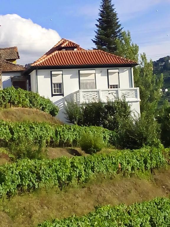 Quinta Do Fojo Bed & Breakfast Lamego Luaran gambar