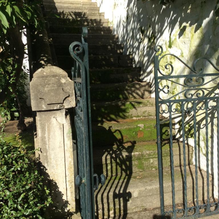 Quinta Do Fojo Bed & Breakfast Lamego Luaran gambar