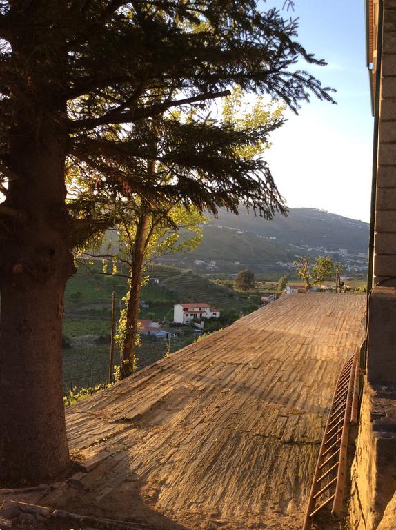 Quinta Do Fojo Bed & Breakfast Lamego Luaran gambar