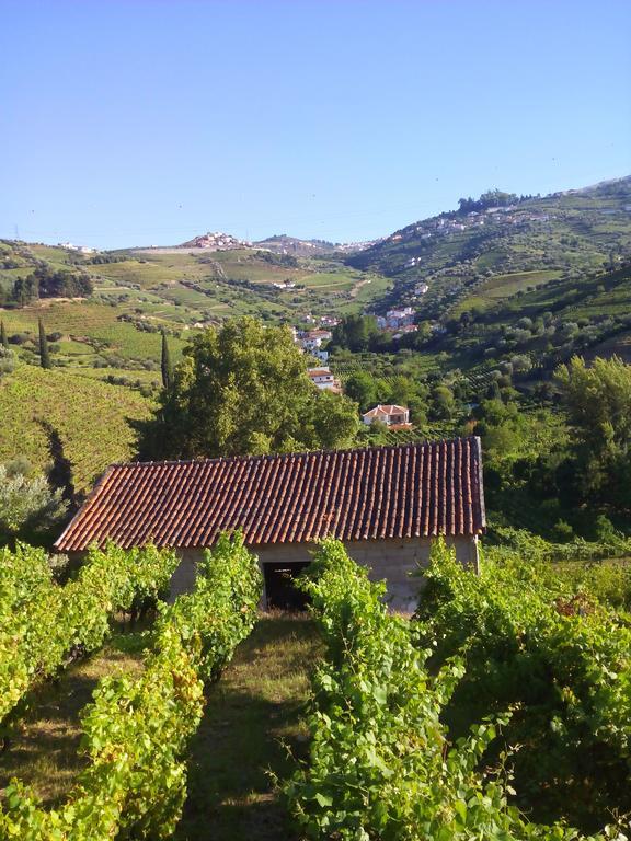 Quinta Do Fojo Bed & Breakfast Lamego Luaran gambar